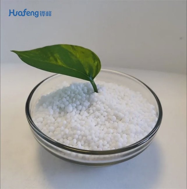 Granular Calcium Ammonium Nitrate (CAN) - 100% Water Soluble High-Efficiency Nitrogen Calcium Fertilizer