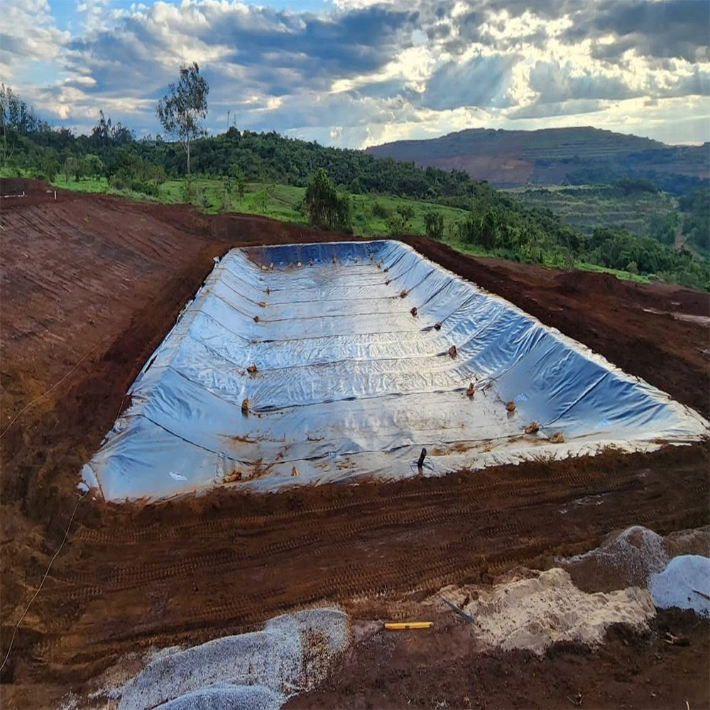 Géomembrane HDPE /LDPE /LLDPE/revêtement d'étang Géomembranes HDPE HDPE lisse pour ferme piscicole