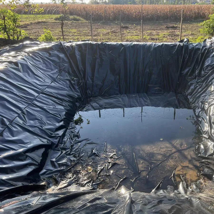 Géomembrane HDPE EPDM PE pour revêtement de bassin de pisciculture de 0.3mm à 2mm