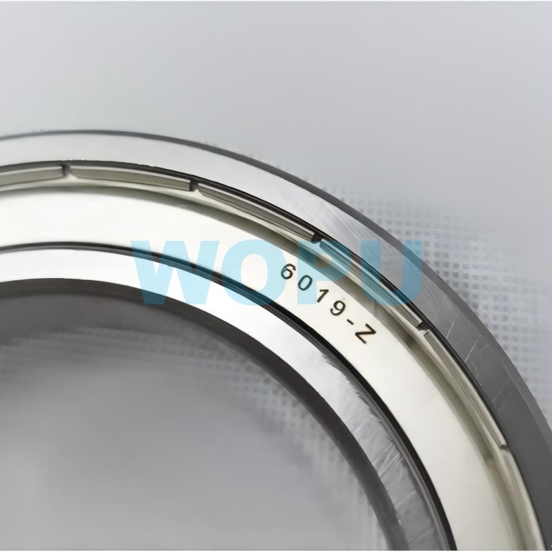 محمل تفاضلي خلفي 6019-Z / 190003310239 لقطع غيار شاحنات SINOTRUK HOWO Steyr