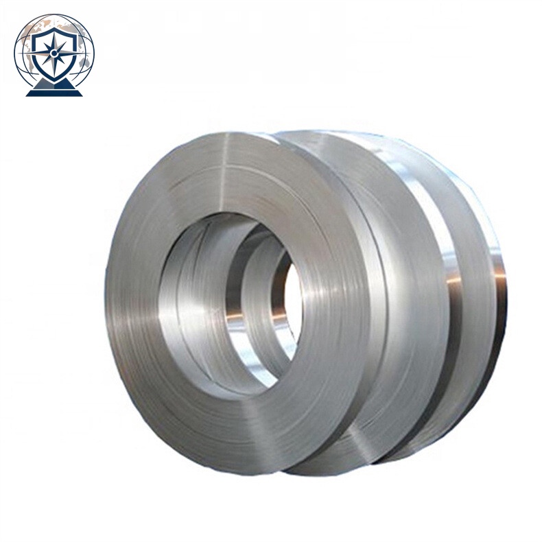 310 Stainless Strip