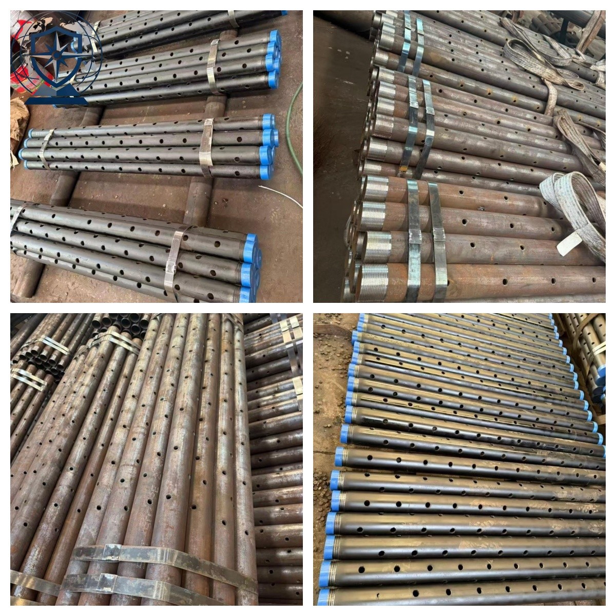 Sieve Tube