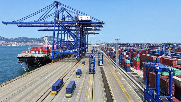 Container Terminal Equipment Cost: How to Compare STS, RMG, and Yard Fleet ROI