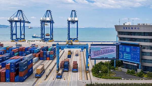 How to Evaluate a Terminal Management Software Provider for Port Automation Projects