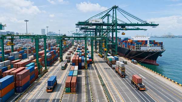 How to Evaluate Terminal Operating Software in Singapore for Port Efficiency and Visibility