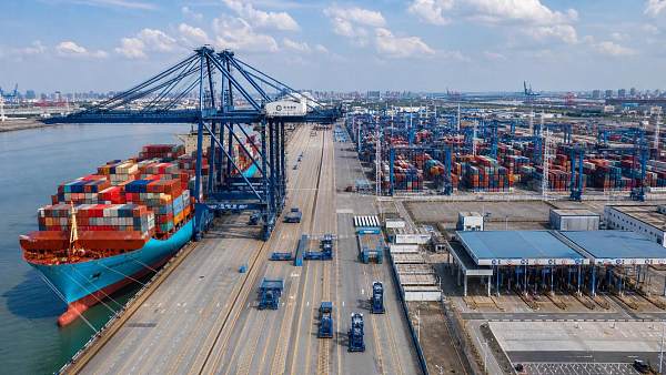 How to Evaluate Port Operations Software for Multi-Terminal Visibility and Faster Turnaround
