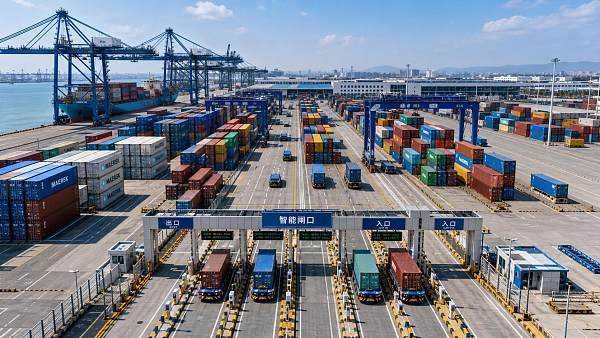 How to Evaluate a Terminal Management System for Port Visibility and Yard Efficiency