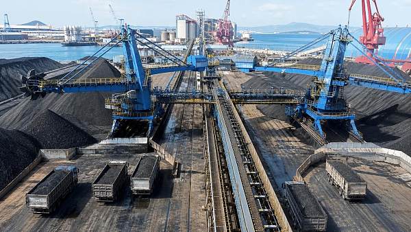 How Bulk Terminal Automation Systems Improve Throughput, Safety, and Yard Control