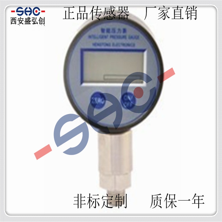 Domestic Pressure Controller CYK-4 Digital Pressure Controller