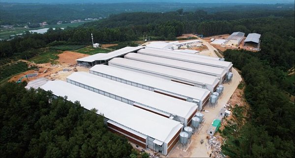 Prefabricated Steel Structure