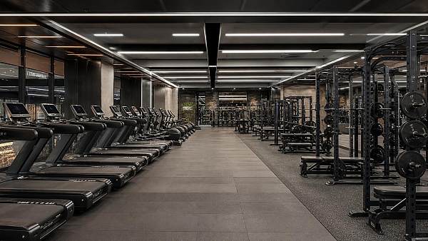 Gym ROI in Europe: Which Cardio and Strength Investments Pay Back Faster for Clubs?