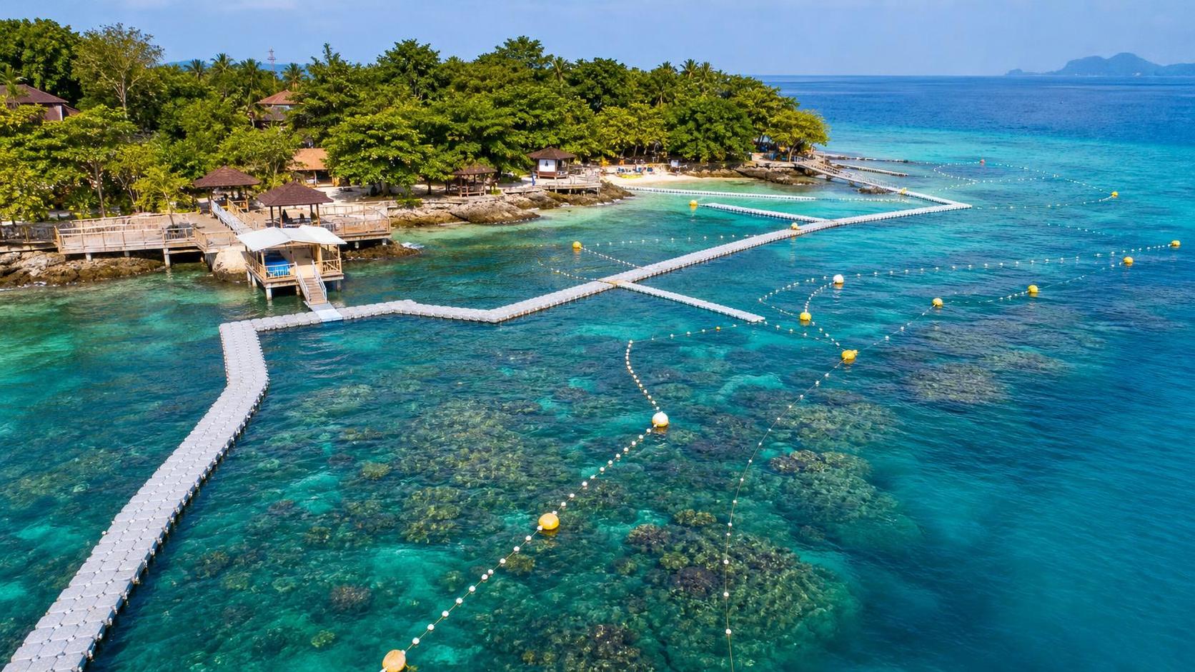 Marine Ecotourism Planning: How to Balance Visitor Growth and Reef Protection