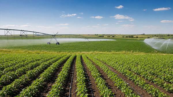 Irrigation Systems Compared: Drip, Pivot, or Spray?