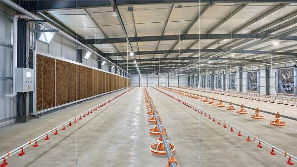 Poultry Farming Equipment Checklist for New House Setup