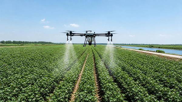 Agricultural UAV Spraying Cotton: How to Improve Coverage Without Raising Drift Risk