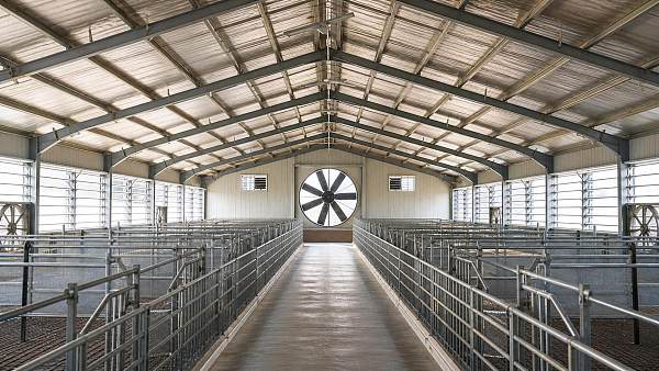 Barn Ventilation Systems: How to Size Fans and Inlets for Year-Round Air Exchange
