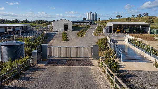 Biosecurity Systems for Farms: Which Control Points Matter Most at Entry and Transfer?