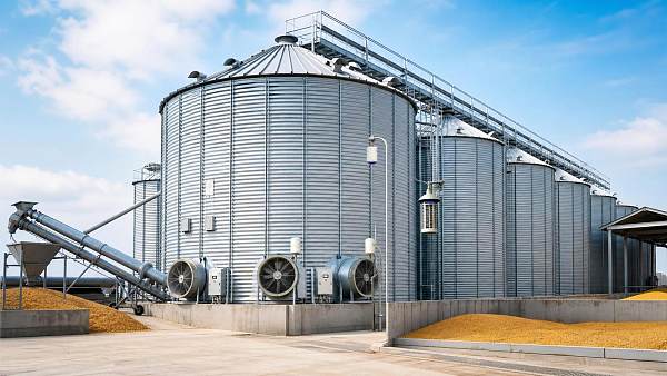Grain Storage Management: How to Control Temperature, Moisture, and Insect Pressure