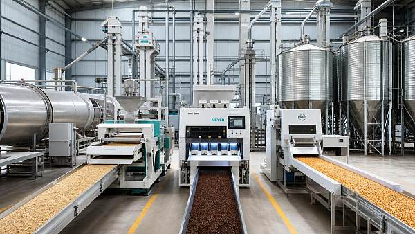 Post-Harvest Processing in Vietnam: Which Equipment Bottlenecks Hurt Quality Most?