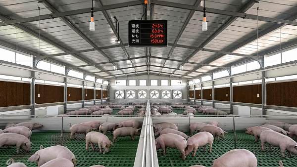 Negative Pressure Climate Control: How to Balance Airflow, Heat, and Disease Risk