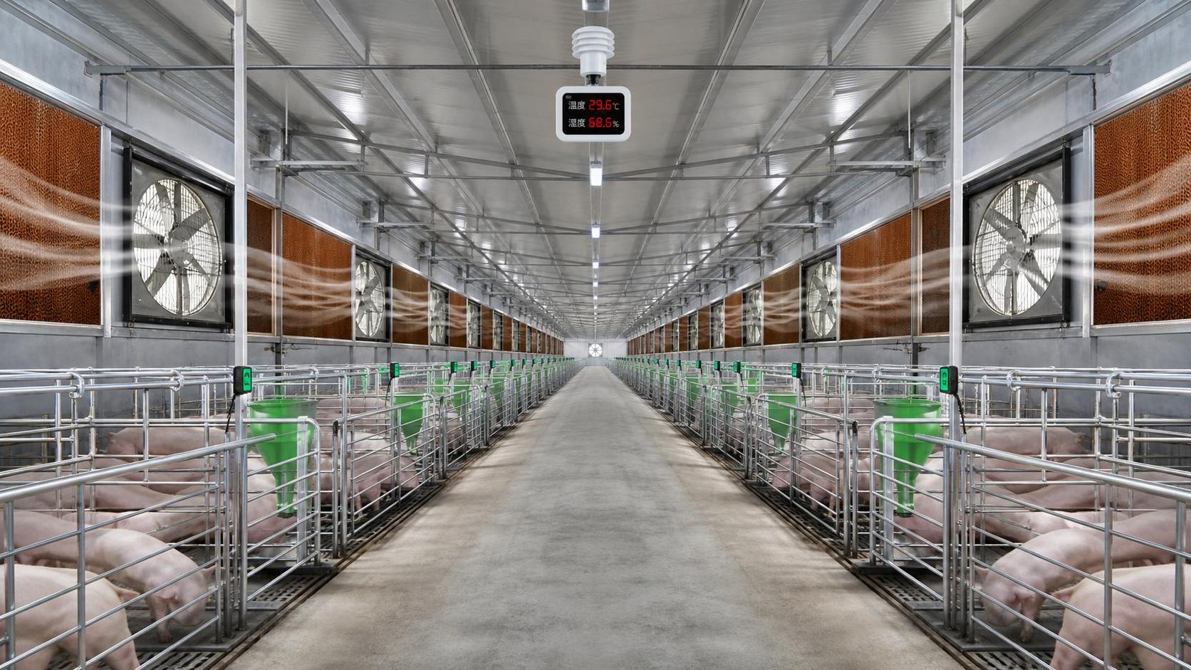 Barn Cooling Systems Humidity Control: Key Settings for Heat Stress Prevention
