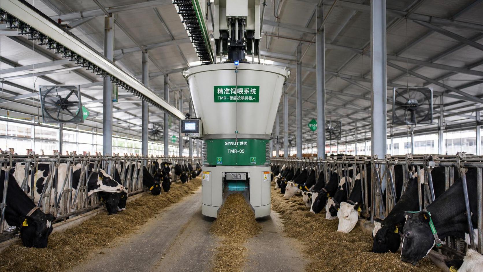 Automated Feeding Systems for Cattle: What to Compare Before You Buy