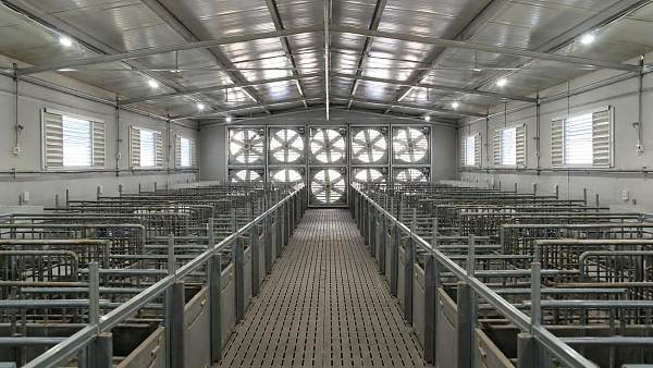 Exhaust Fan Systems in Negative Pressure Houses: Sizing, Airflow, and Control Basics
