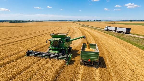 Field Operation Efficiency in Harvesting: Where Time Loss Happens and How to Cut It