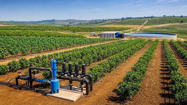 Drip Irrigation Systems in Brazil: Crop Fit, Water Source, and Maintenance Considerations