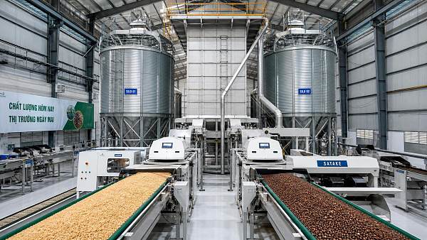 Post-Harvest Systems in Vietnam: Drying, Storage, and Sorting Gaps Buyers Often Miss