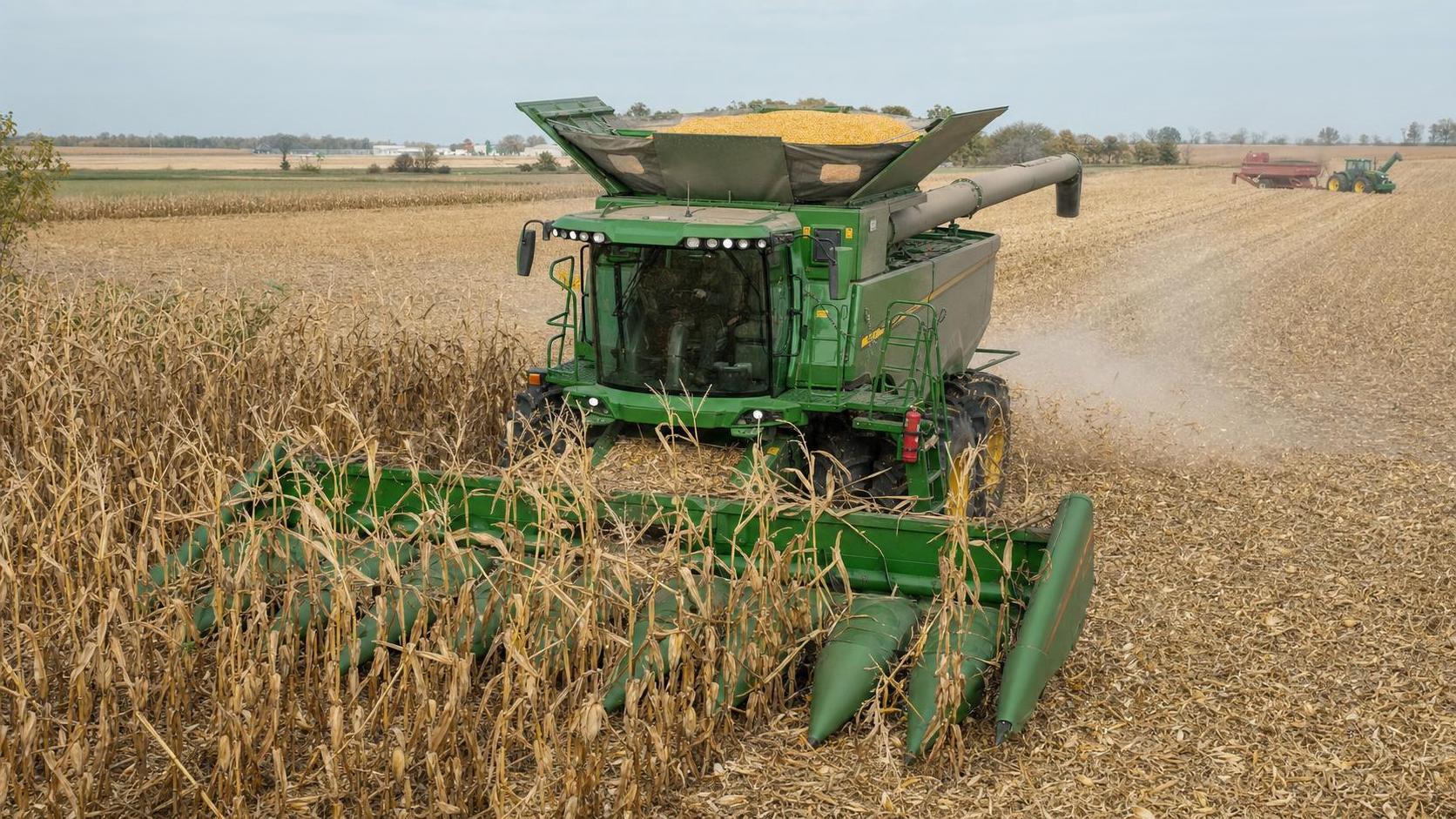 How Combine Harvesting Systems for Corn Reduce Kernel Loss and Field Downtime