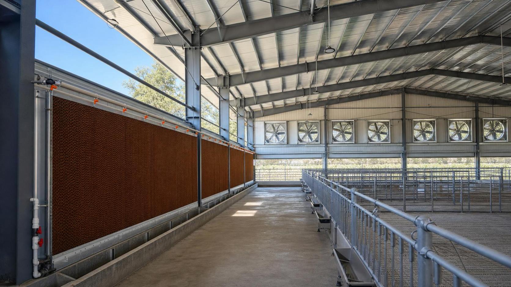 Livestock Cooling Equipment Price: What Drives Cost per Barn or Shed