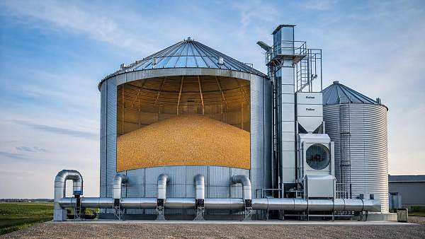 Crop Preservation Methods: How to Reduce Moisture, Mold, and Storage Losses