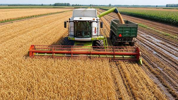 Harvesting Equipment for Grain Crops: How to Match Machine Type to Field Conditions