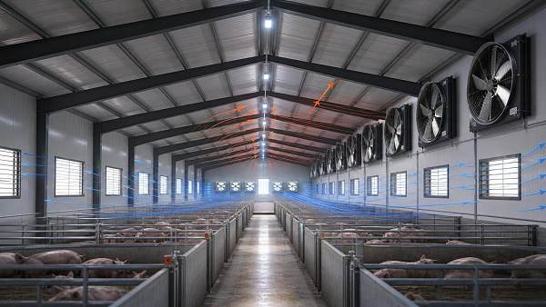Barn Ventilation Systems with Exhaust Fans: Common Sizing and Placement Errors