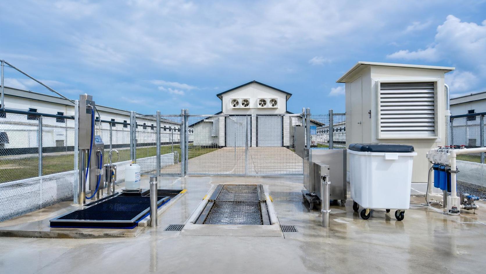 Poultry Farming Equipment for Biosecurity: What Should Be Included in a Practical Setup