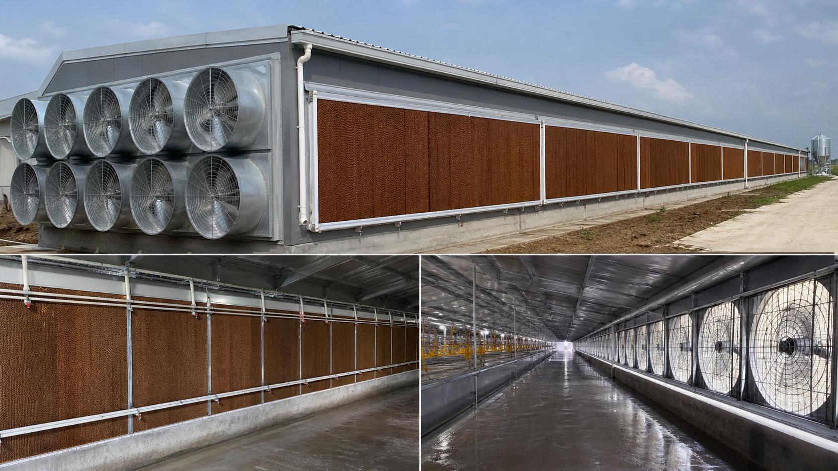 Cooling Pad Systems Evaporative: How to Size Pads and Fans for Livestock Buildings