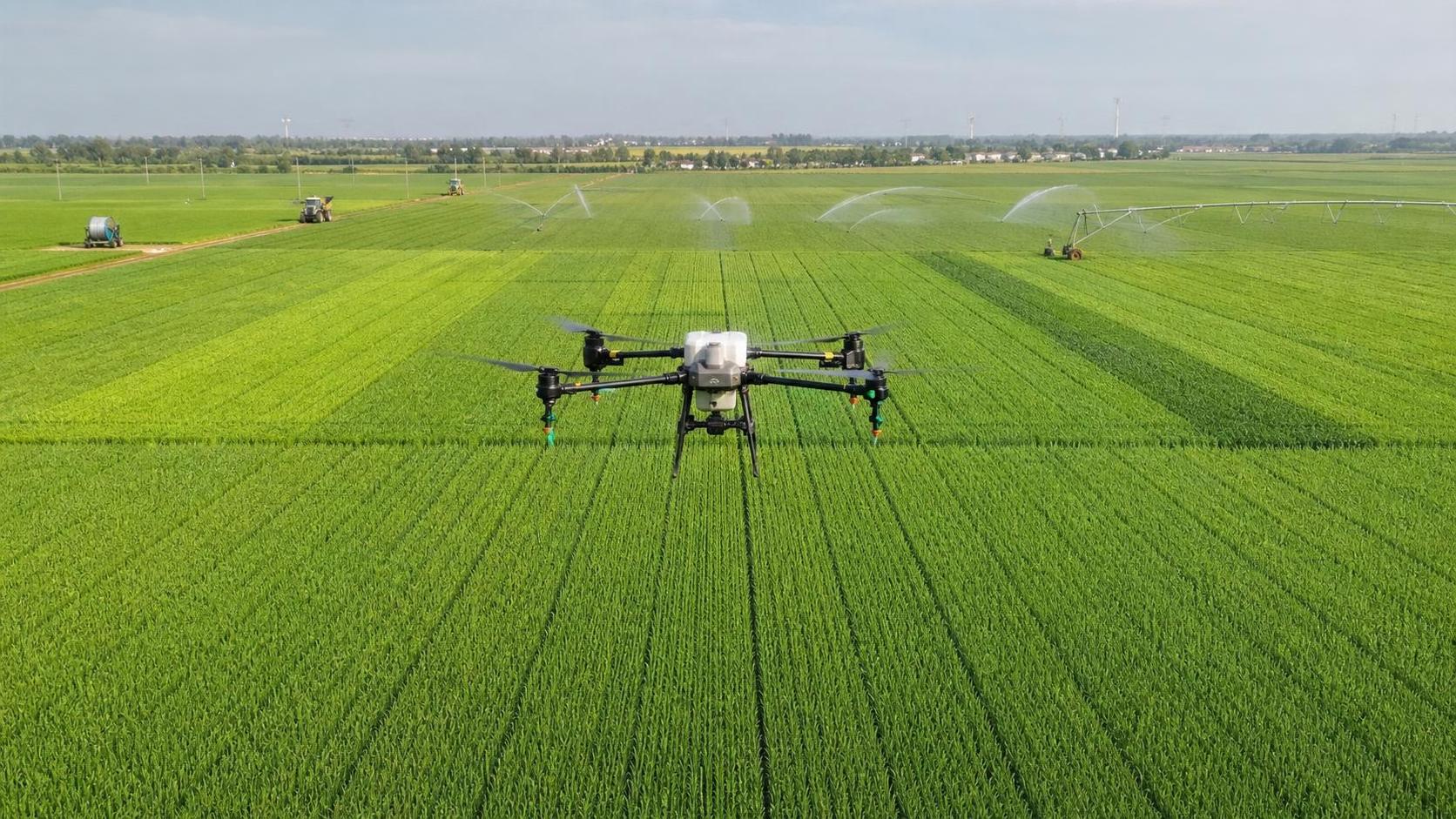 NDVI Mapping in Agriculture: What It Shows, What It Misses, and When to Use It