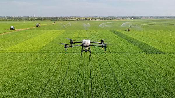 NDVI Mapping in Agriculture: What It Shows, What It Misses, and When to Use It