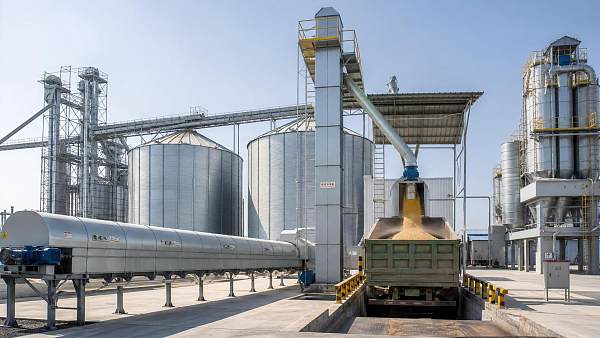 Grain Handling Equipment: How to Choose Conveyors, Elevators, and Intake Systems