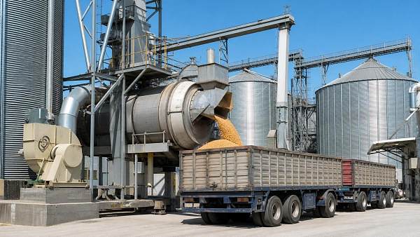 Post-Harvest Aflatoxin Control: Why Drying Delays Raise the Risk Fast