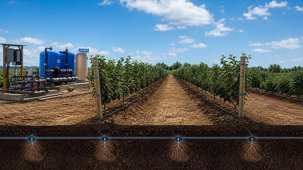 Subsurface Drip Irrigation System: Best Fit Crops, Soil Types, and Limits