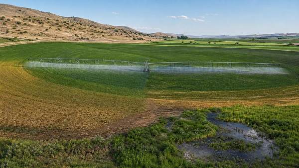 Variable Rate Pivot Irrigation Technology: Where It Adds Value by Zone