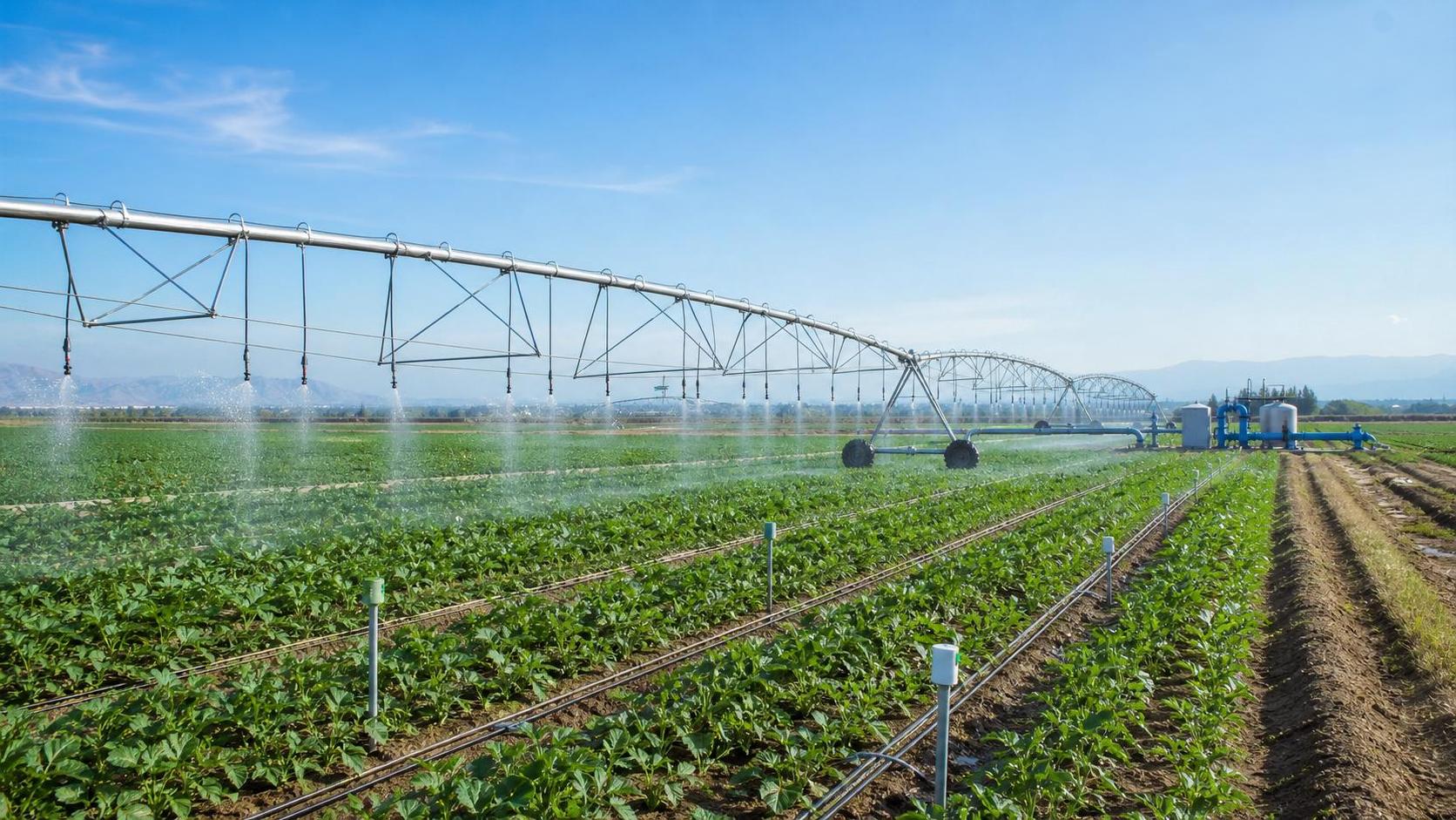 Water Efficiency in Farming Solutions: How to Compare Irrigation Upgrade Paths