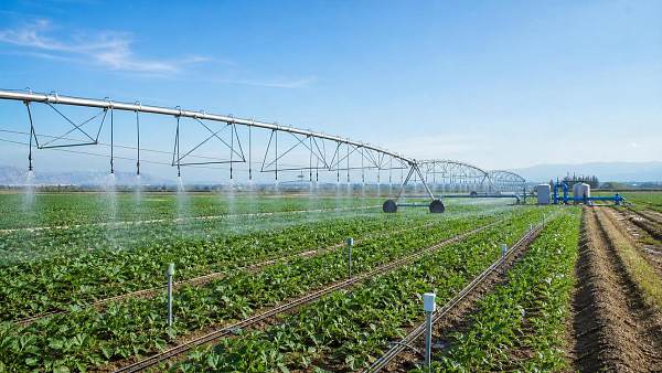 Water Efficiency in Farming Solutions: How to Compare Irrigation Upgrade Paths