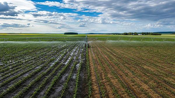 Irrigation Scheduling in Canada: How Climate and Soil Change Timing