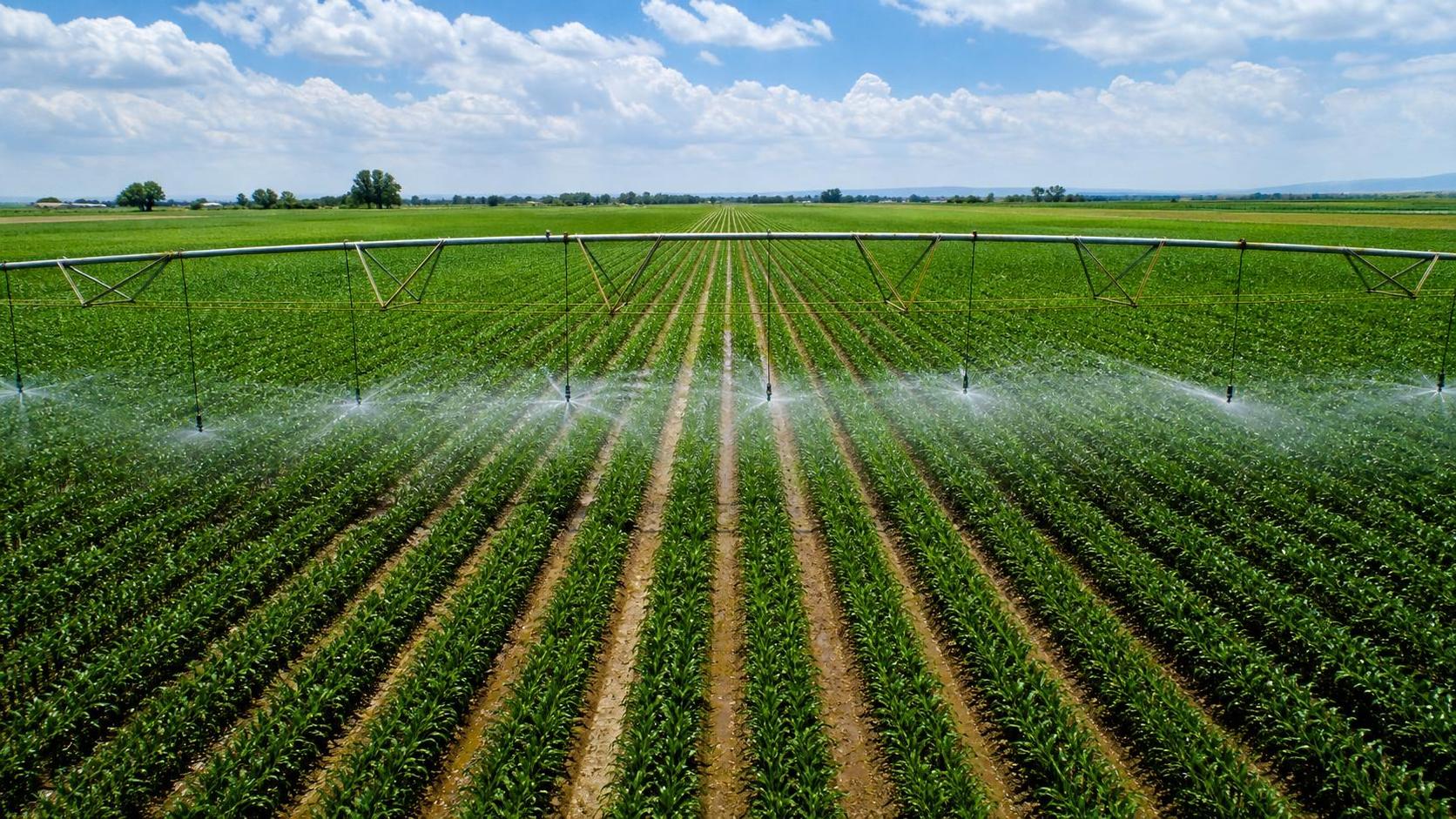 Water Application Uniformity in Sprinkler Systems: Causes of Dry and Wet Strips