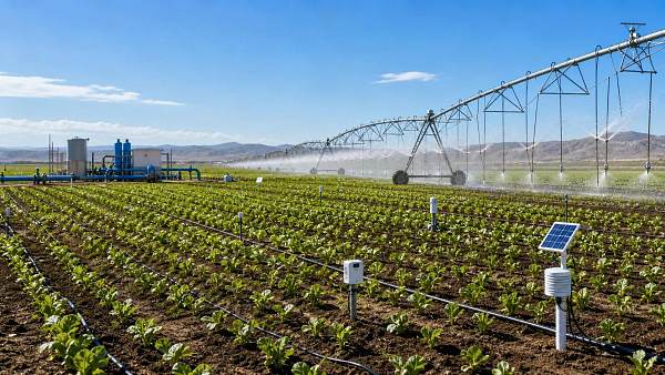 Water Efficiency in Farming Irrigation: What to Measure Before Upgrading