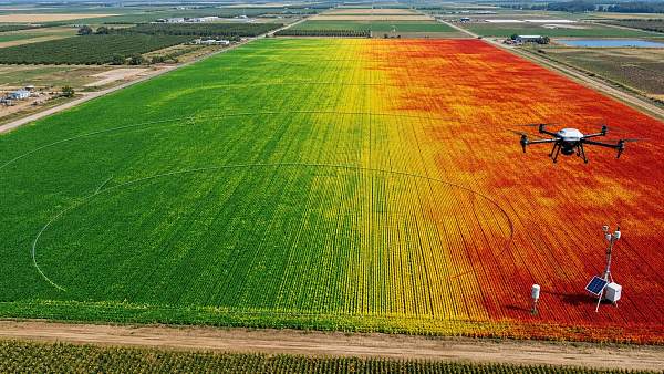 NDVI Mapping Explained: What It Measures and When It Misleads