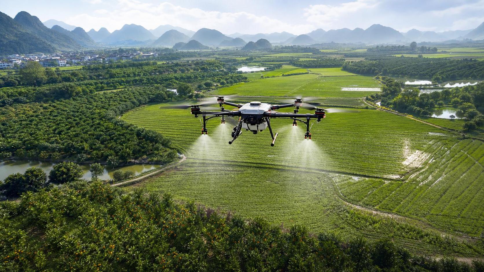 Crop Spraying Drones: Which Crops and Field Sizes Make Economic Sense?